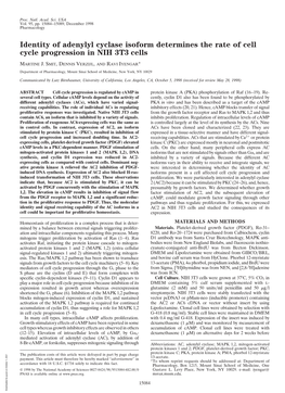 Identity of Adenylyl Cyclase Isoform Determines the Rate of Cell Cycle Progression in NIH 3T3 Cells