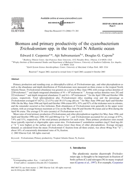 Biomass and Primary Productivity of the Cyanobacterium Trichodesmium Spp