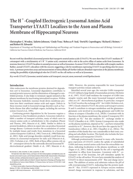 The H -Coupled Electrogenic Lysosomal Amino Acid Transporter LYAAT1 Localizes to the Axon and Plasma Membrane of Hippocampal Neurons