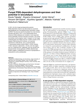 Fungal PQQ-Dependent Dehydrogenases and Their Potential in Biocatalysis