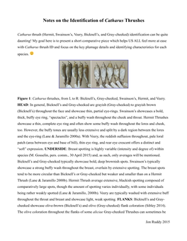 Notes on the Identification of Catharus Thrushes