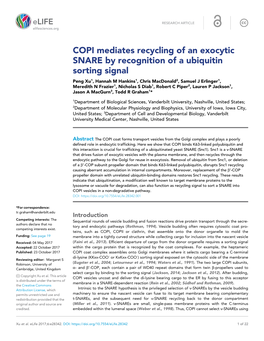 COPI Mediates Recycling of an Exocytic SNARE by Recognition of A