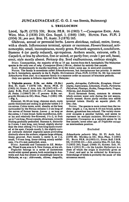 Buitenzorg) LINNE, Sp.PL. (1753) 338; 16 (1903) 7.— Cycnogeton ENDL