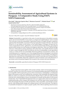 Sustainability Assessment of Agricultural Systems in Paraguay: a Comparative Study Using FAO’S SAFA Framework