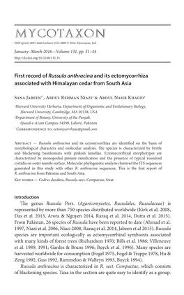 <I>Russula</I> <I>Anthracina</I> and Its