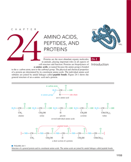 24Amino Acids, Peptides, and Proteins