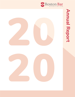 2020 Annual Report