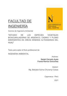 Facultad De Ingeniería