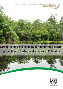 Strengthening the Capacity in Integrating REDD+ Projects Into Biotrade Strategies in Colombia