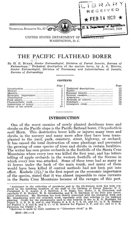 The Pacific Flatheaded Borer