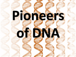 Pioneers of DNA Fredrick Griffith Griffith Found That One Type of Bacteria Could Give Information to Another Type of Bacteria and Transform It