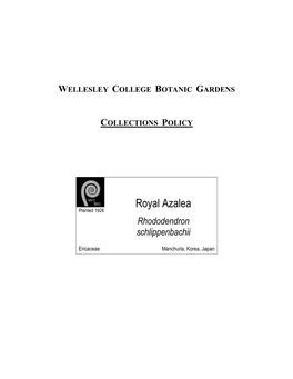 Royal Azalea Planted 1926