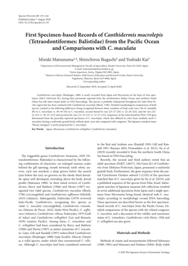 First Specimen-Based Records of Canthidermis Macrolepis (Tetraodontiformes: Balistidae) from the Pacific Ocean and Comparisons with C