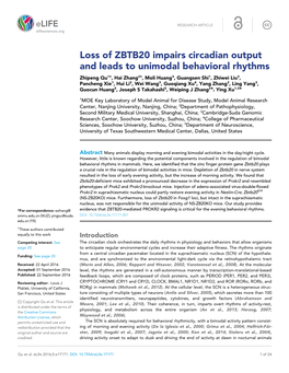 Loss of ZBTB20 Impairs Circadian Output and Leads to Unimodal