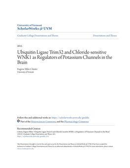 Ubiquitin Ligase Trim32 and Chloride-Sensitive WNK1 As Regulators of Potassium Channels in the Brain Eugene Miler Cilento University of Vermont