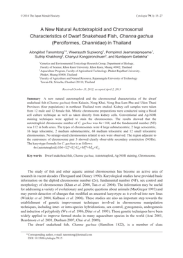 A New Natural Autotetraploid and Chromosomal Characteristics of Dwarf Snakehead Fish, Channa Gachua (Perciformes, Channidae) in Thailand