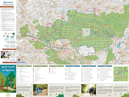 Balade En Foret De Haguenau Bienvenue