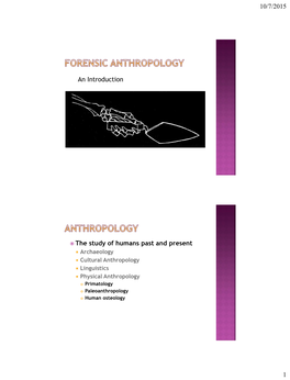 Forensic Anthropology