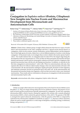 Conjugation in Euplotes Raikovi (Protista, Ciliophora): New Insights Into Nuclear Events and Macronuclear Development from Micronucleate and Amicronucleate Cells