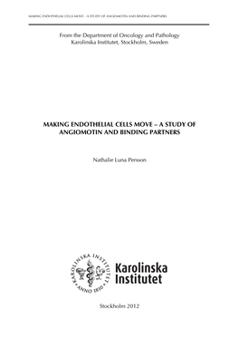 Making Endothelial Cells Move – a Study of Angiomotin and Binding Partners