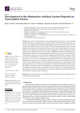 Development in the Mammalian Auditory System Depends on Transcription Factors