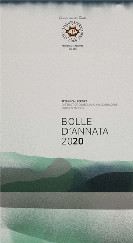 Bolle-2020-Ultimo-Esecutivo-ENG.Pdf