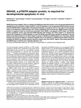 NRAGE, a P75ntr Adaptor Protein, Is Required for Developmental Apoptosis in Vivo