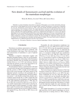 New Details of Santanmantis Axelrodi and the Evolution of the Mantodean Morphotype