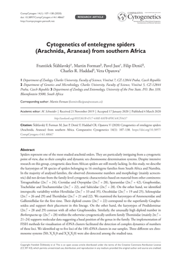 Cytogenetics of Entelegyne Spiders (Arachnida, Araneae) from Southern Africa