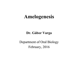 Amelogenesis