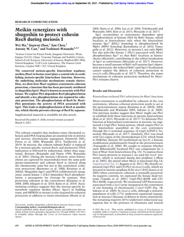 Meikin Synergizes with Shugoshin to Protect Cohesin Rec8 During Meiosis I