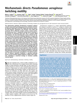 Mechanotaxis Directs Pseudomonas Aeruginosa Twitching Motility