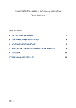 Guidelines for the Practice of Participatory Placemaking