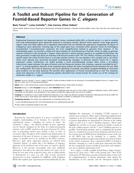 A Toolkit and Robust Pipeline for the Generation of Fosmid-Based Reporter Genes in C