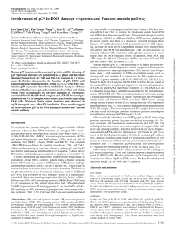 Involvement of P29 in DNA Damage Responses and Fanconi Anemia Pathway