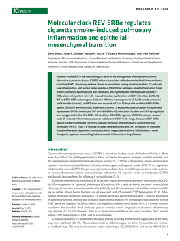 Molecular Clock REV-Erbα Regulates Cigarette Smoke–Induced Pulmonary Inflammation and Epithelial- Mesenchymal Transition