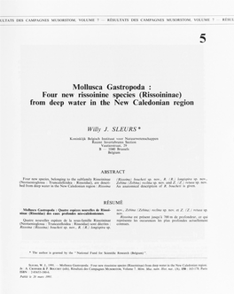 Mollusca Gastropoda : Four New Rissoinine Species (Rissoininae) from Deep Water in the New Caledonian Region