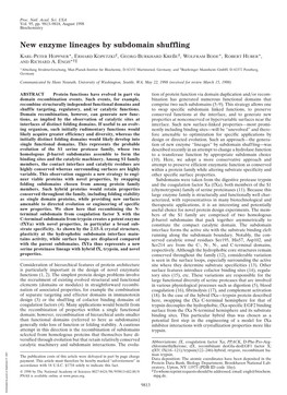 New Enzyme Lineages by Subdomain Shuffling