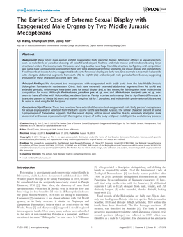 The Earliest Case of Extreme Sexual Display with Exaggerated Male Organs by Two Middle Jurassic Mecopterans