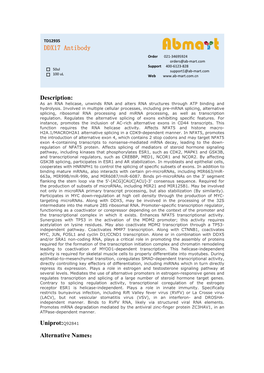DDX17 Antibody Order 021-34695924 Orders@Ab-Mart.Com Support 400-6123-828 50Ul Support1@Ab-Mart.Com 100 Ul √ √ Web