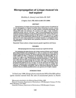 Micropropagation of Liriope Muscari Via Leaf Explant1