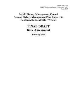 FINAL DRAFT Risk Assessment February 2020