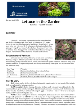 Lettuce in the Garden Dan Drost – Vegetable Specialist