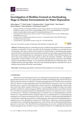 Investigation of Biofilms Formed on Steelmaking Slags in Marine