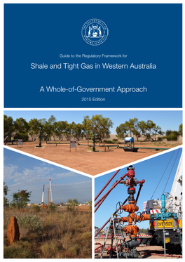 Shale and Tight Gas Framework