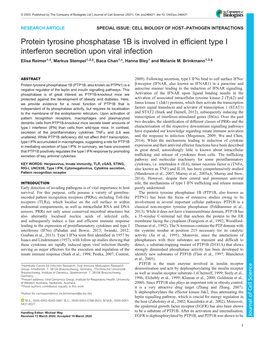 Protein Tyrosine Phosphatase 1B Is Involved in Efficient Type I Interferon