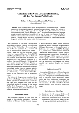 Cutlassfishes of the Genus Lepidopus (Trichiuridae), with Two New Eastern Pacific Species