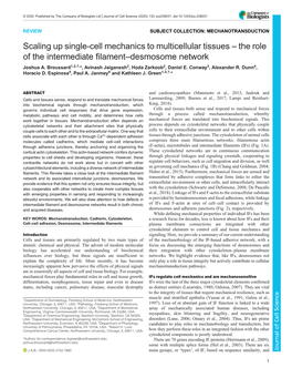 Scaling up Single-Cell Mechanics to Multicellular Tissues – the Role of the Intermediate Filament–Desmosome Network Joshua A