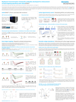 Biophysical Characterization of Bispecific Antibodies Developed For