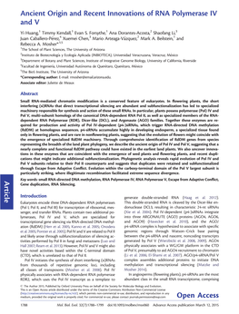 Ancient Origin and Recent Innovations of RNA Polymerase IV and V